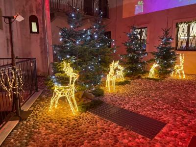 Natale nei Palazzi Barocchi 2024 – Bosco Incantato